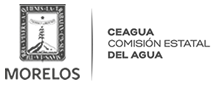 Comisión Estatal del Agua del Estado de Morelos