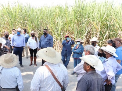 <a href="/noticias/apoya-ceagua-productores-de-cana-con-acciones-de-desazolve">Apoya Ceagua a productores de caña con acciones de desazolve</a>