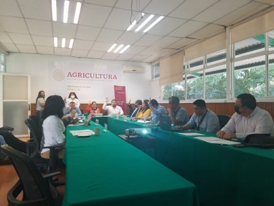 <a href="/noticias/aprueban-presupuesto-de-materia-agropecuaria-en-sesion-del-fofae">Aprueban presupuesto de materia agropecuaria en sesión del FOFAE</a>