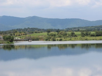 <a href="/noticias/reporte-de-las-presas-y-temperaturas-en-el-estado-de-morelos-195">Reporte de las presas y temperaturas en el estado de Morelos</a>