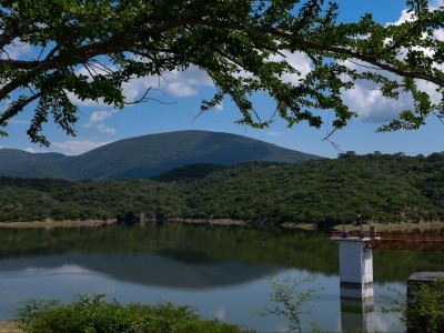 <a href="/noticias/reporte-de-las-presas-y-rios-en-morelos-30">Reporte de las presas y ríos en Morelos</a>