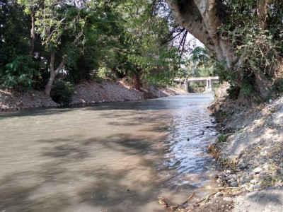 <a href="/noticias/monitoreo-de-rios-que-atraviesan-por-morelos-3">Monitoreo de ríos que atraviesan por Morelos</a>